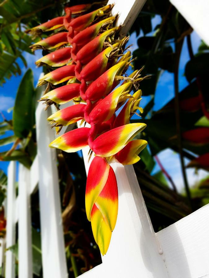 Blue Paradise ル・ゴジエ エクステリア 写真