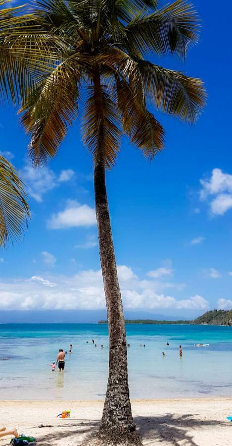 Blue Paradise ル・ゴジエ エクステリア 写真