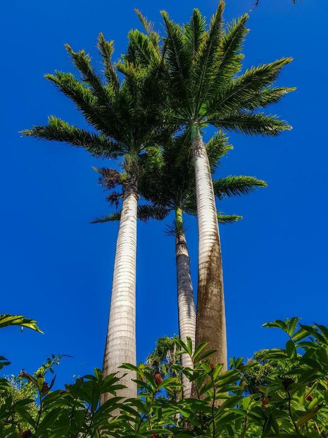 Blue Paradise ル・ゴジエ エクステリア 写真